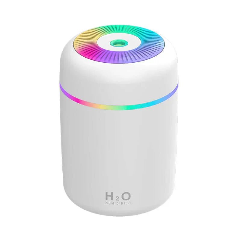 H2O Humidifier
