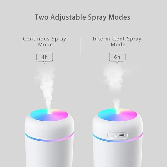 H2O Humidifier 1