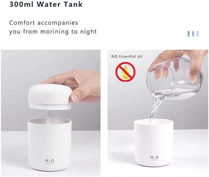 H2O Humidifier 2